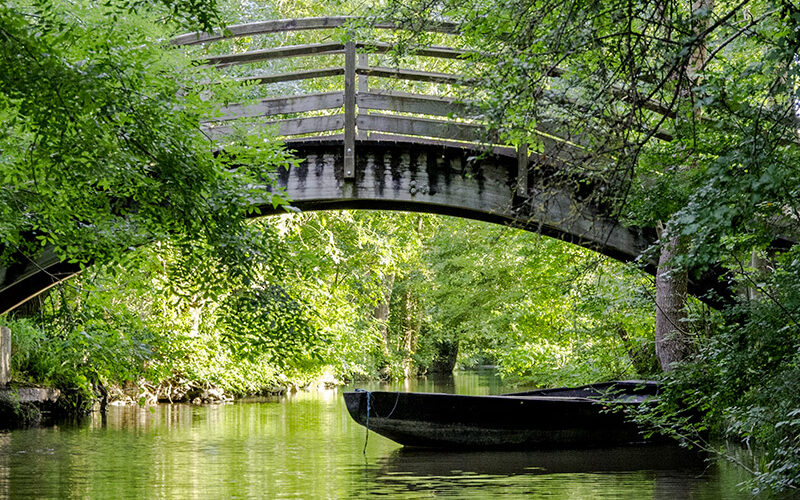 marais-poitevin-venise-verte-01