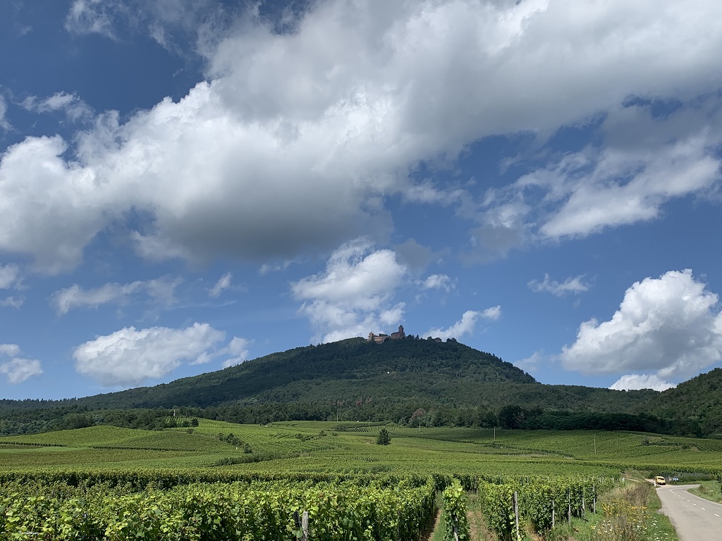 68 HAUT KOENIGSBOURG (2)